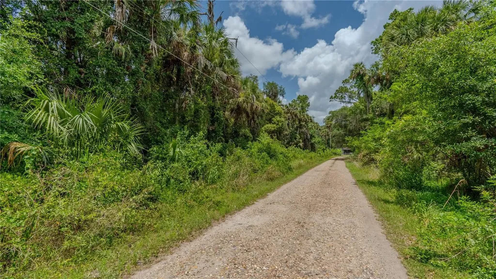Swamp Lane Geneva FL 32732