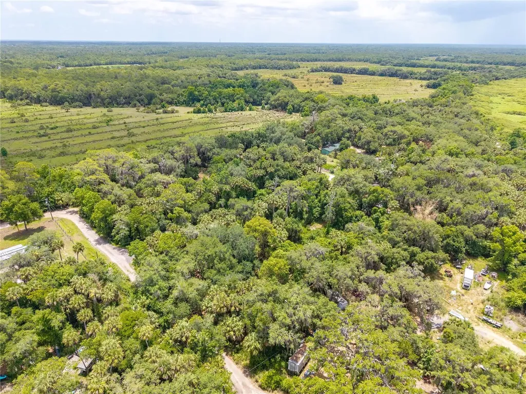 Swamp Lane Geneva FL 32732