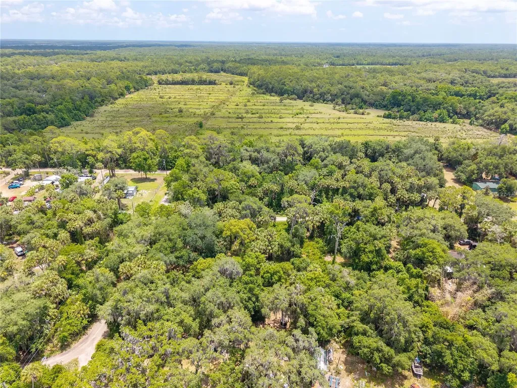Swamp Lane Geneva FL 32732
