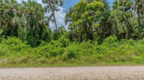 Swamp Lane Geneva FL 32732