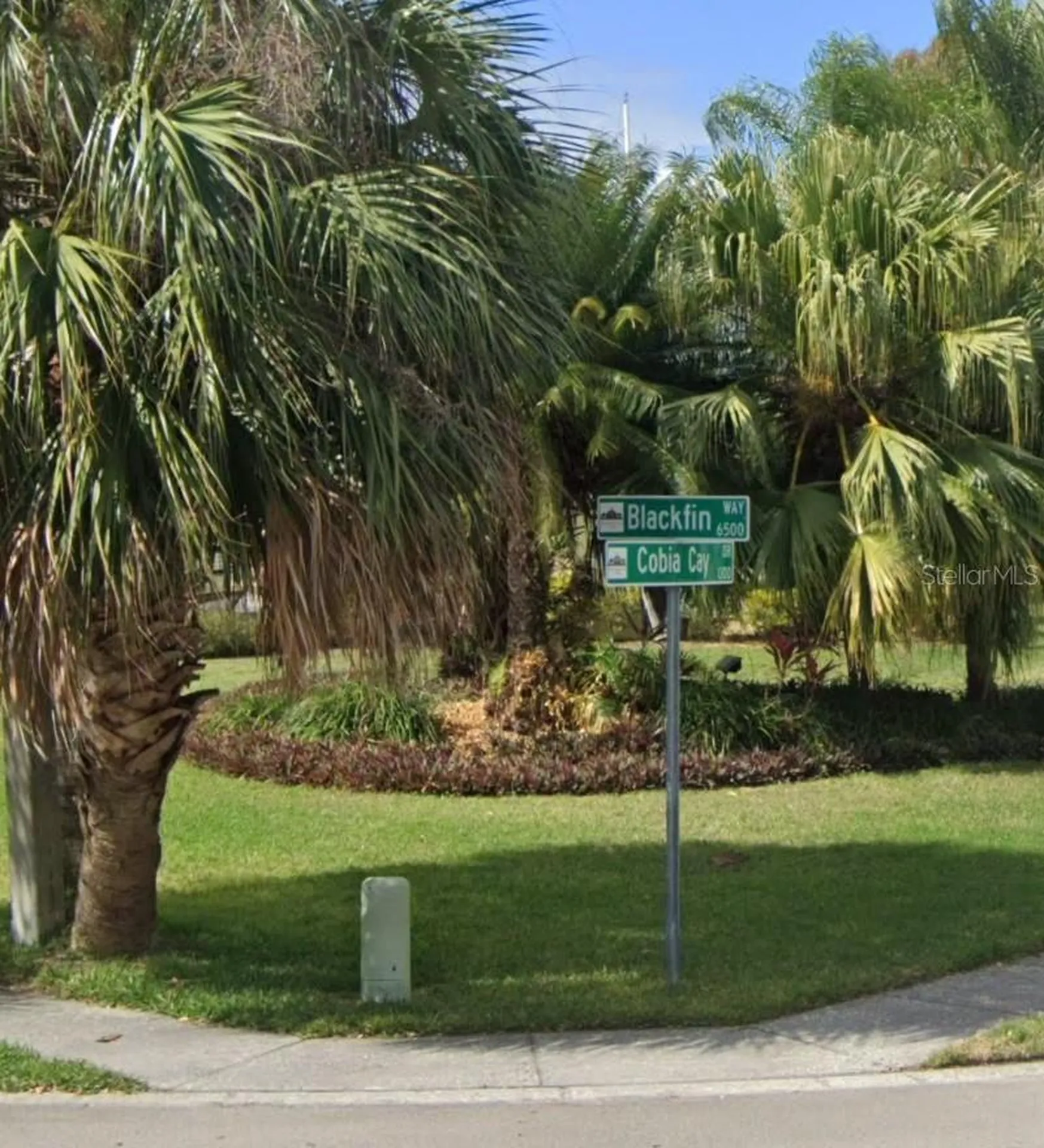 6508 Blackfin Way Apollo Beach FL 33572