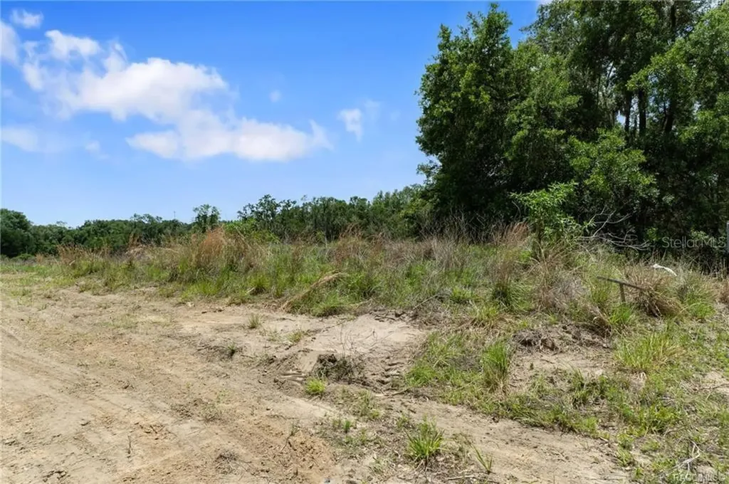 4452 E Rejoice Street Inverness FL 34453