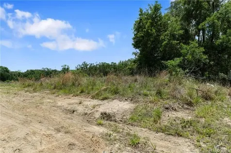 4452 E Rejoice Street Inverness FL 34453