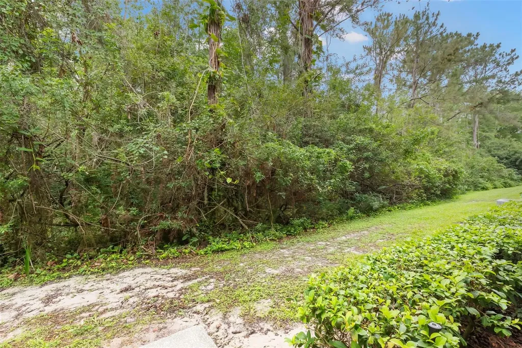 18107 Peregrines Perch Place Lutz FL 33558