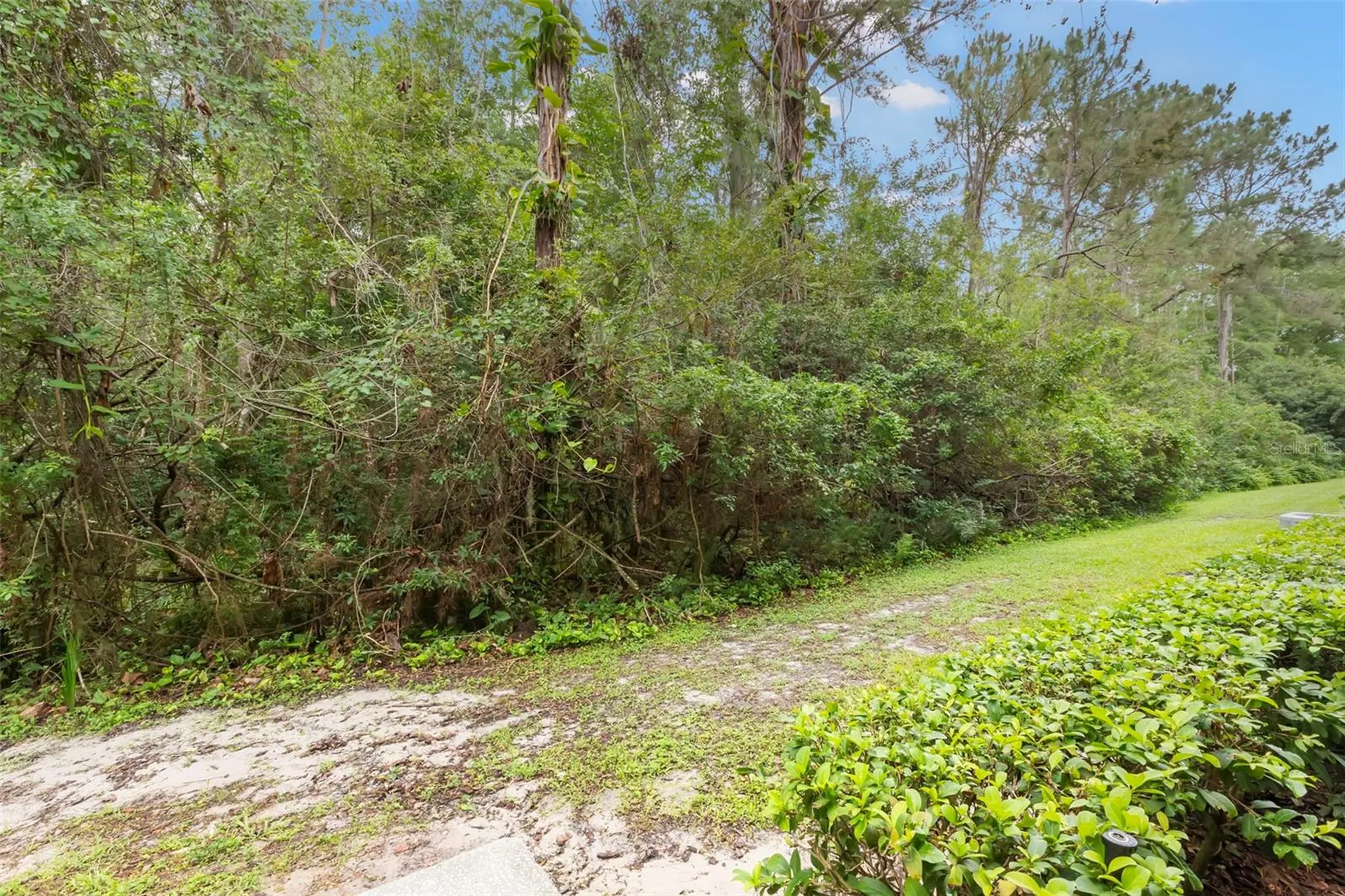 18107 Peregrines Perch Place Lutz FL 33558