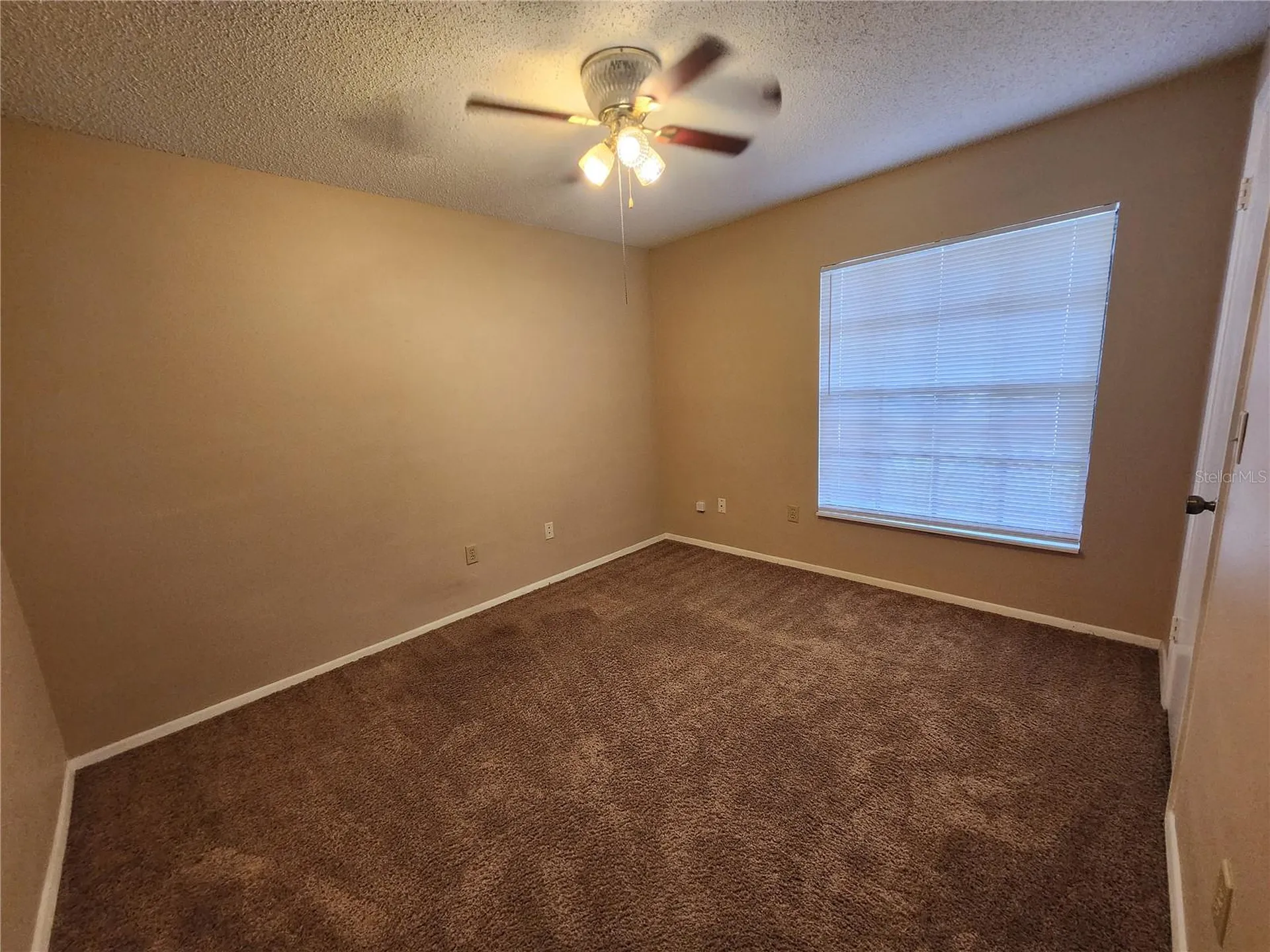 1904 Firethorn Court Brandon FL 33511