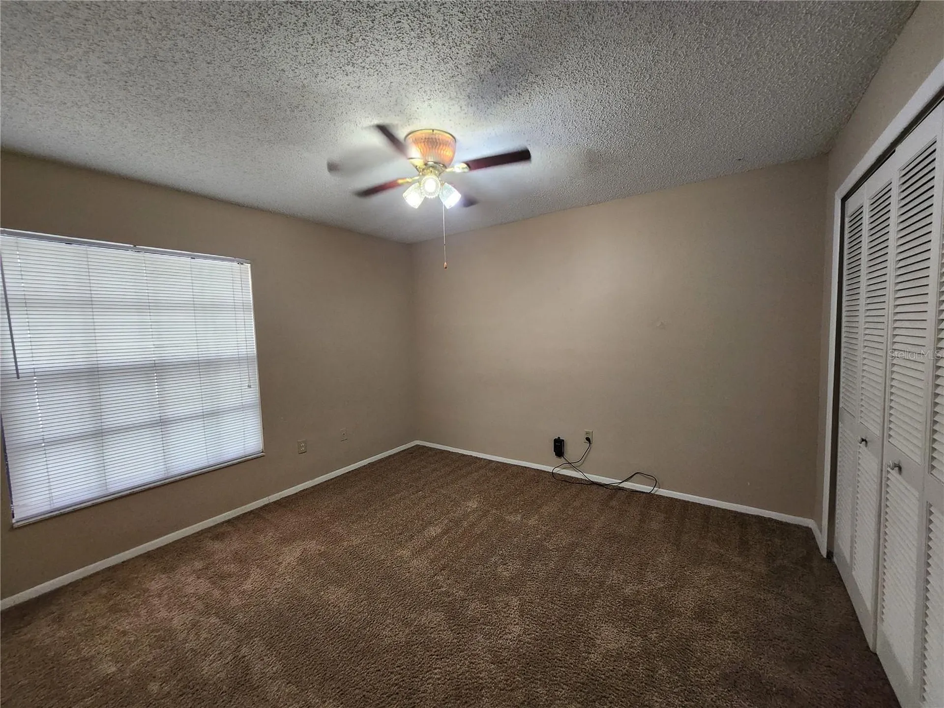 1904 Firethorn Court Brandon FL 33511