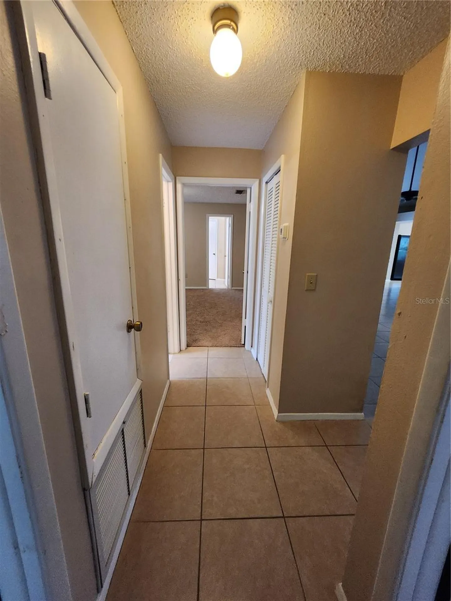 1904 Firethorn Court Brandon FL 33511