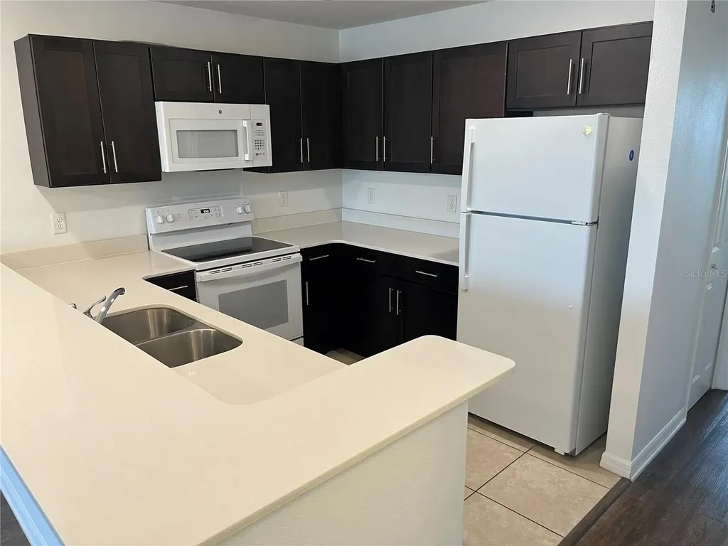 295 Flower Lane Kissimmee FL 34743