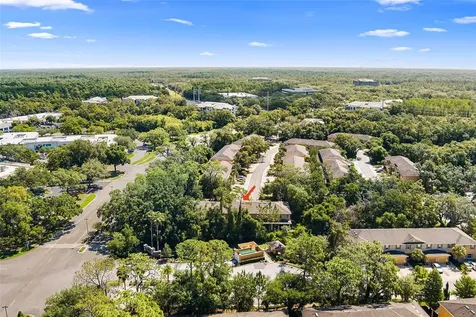 13922 Snapper Fin Lane Tampa FL 33637
