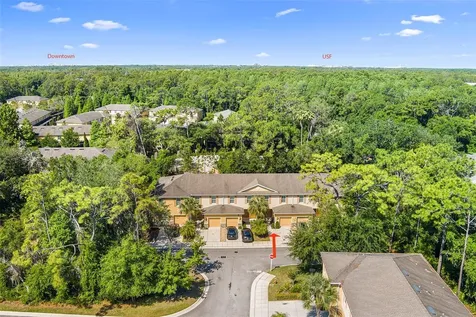 13922 Snapper Fin Lane Tampa FL 33637