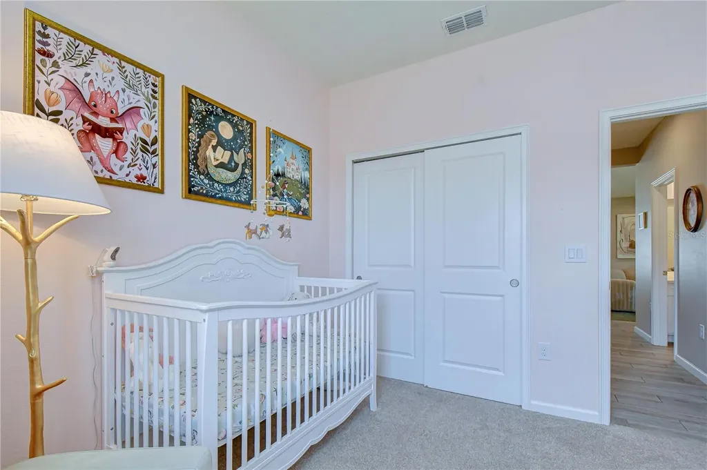 13238 Baby Belle Drive Riverview FL 33579