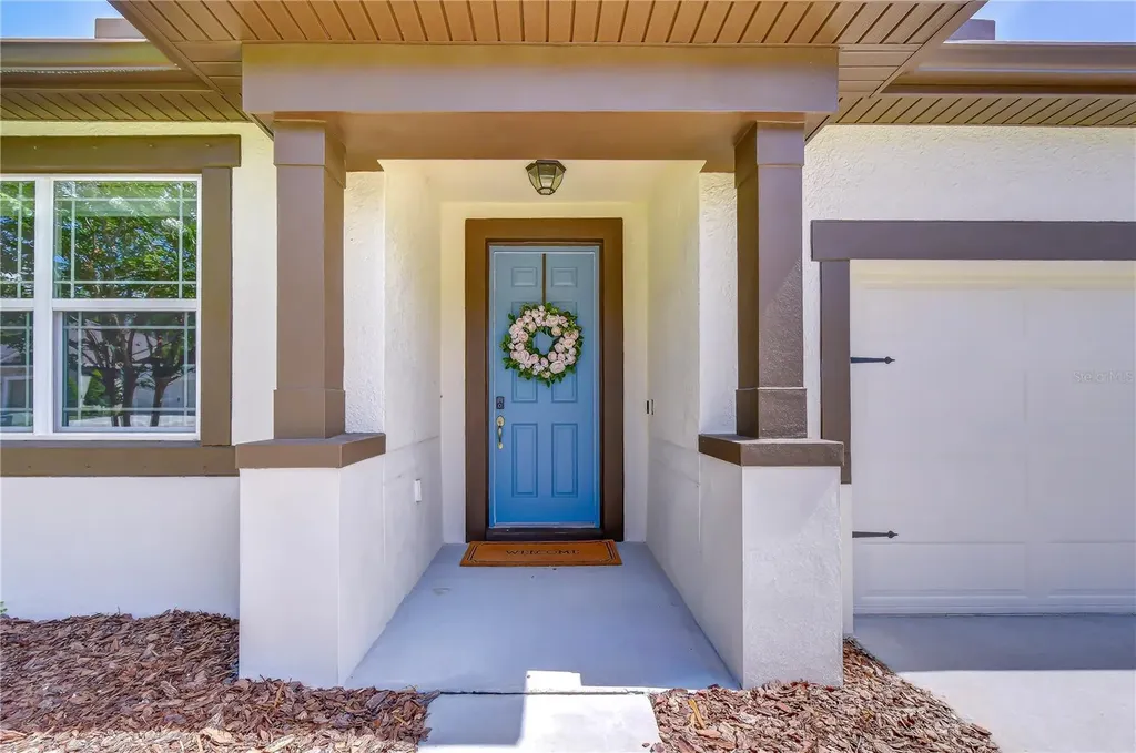 13238 Baby Belle Drive Riverview FL 33579