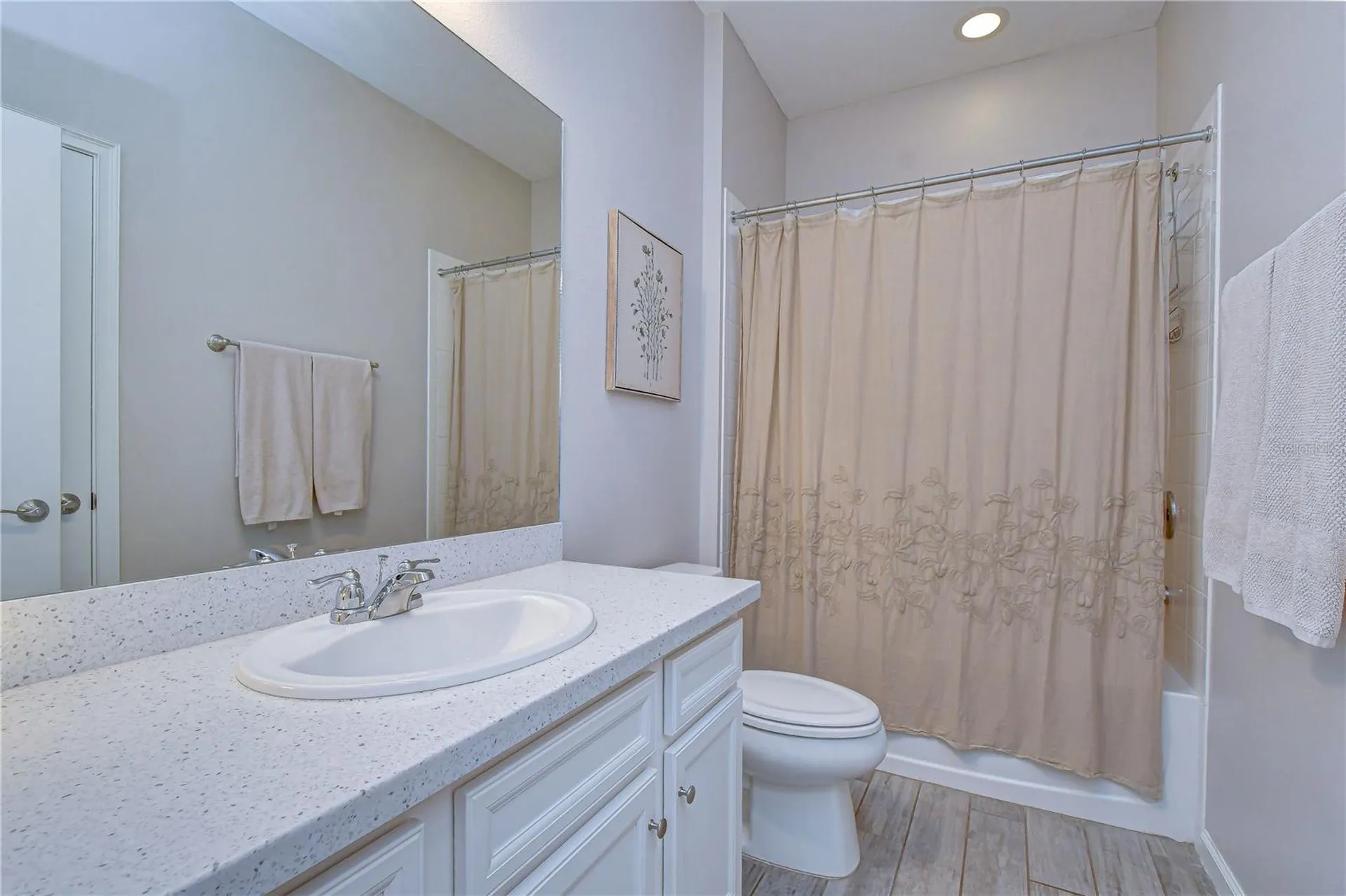 13238 Baby Belle Drive Riverview FL 33579