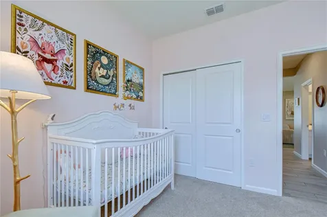 13238 Baby Belle Drive Riverview FL 33579