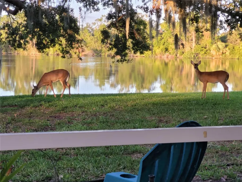 8333 Eagle Lake Drive Sarasota FL 34241