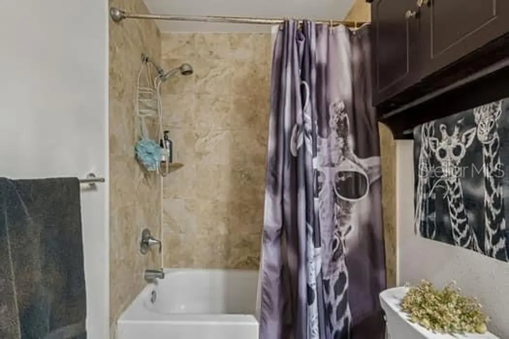 994 Celtic Circle Tarpon Springs FL 34689