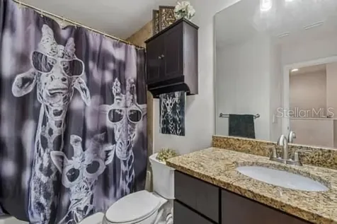 994 Celtic Circle Tarpon Springs FL 34689