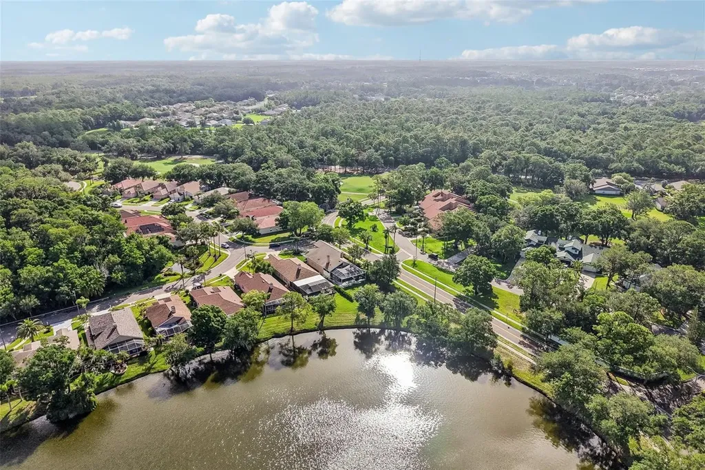 586 Kingsmill Court Oldsmar FL 34677