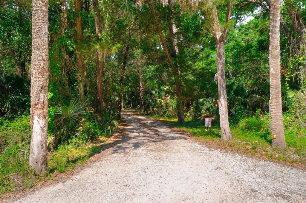 10474 Salt Marsh Trail Jacksonville FL 32226