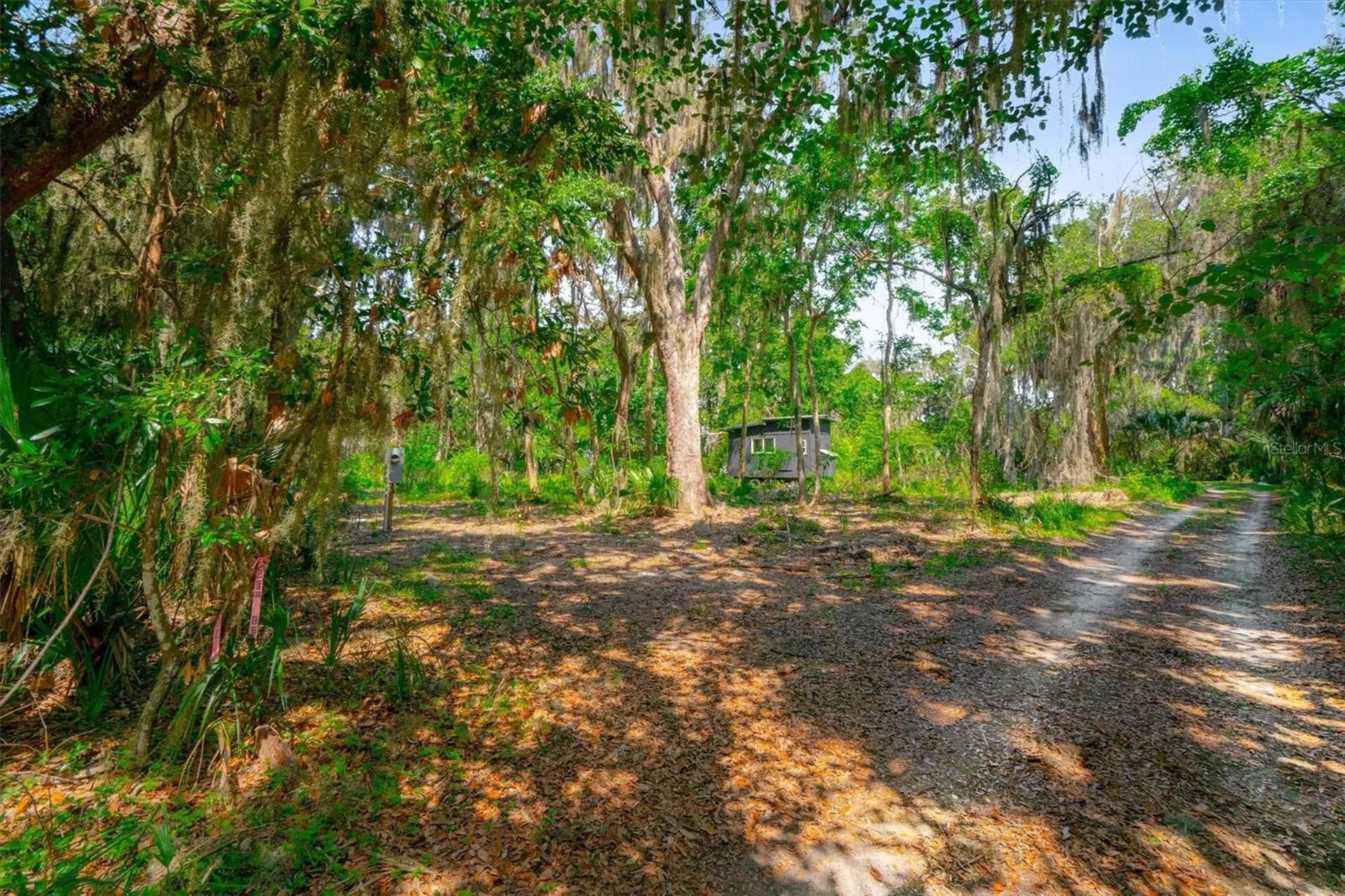 10474 Salt Marsh Trail Jacksonville FL 32226
