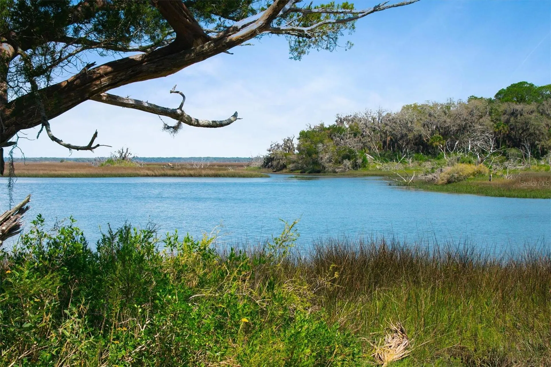 10474 Salt Marsh Trail Jacksonville FL 32226