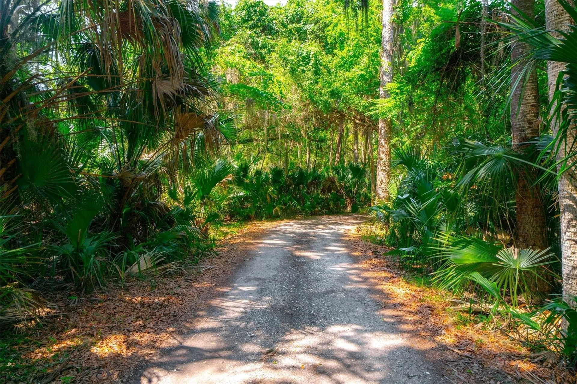 10474 Salt Marsh Trail Jacksonville FL 32226