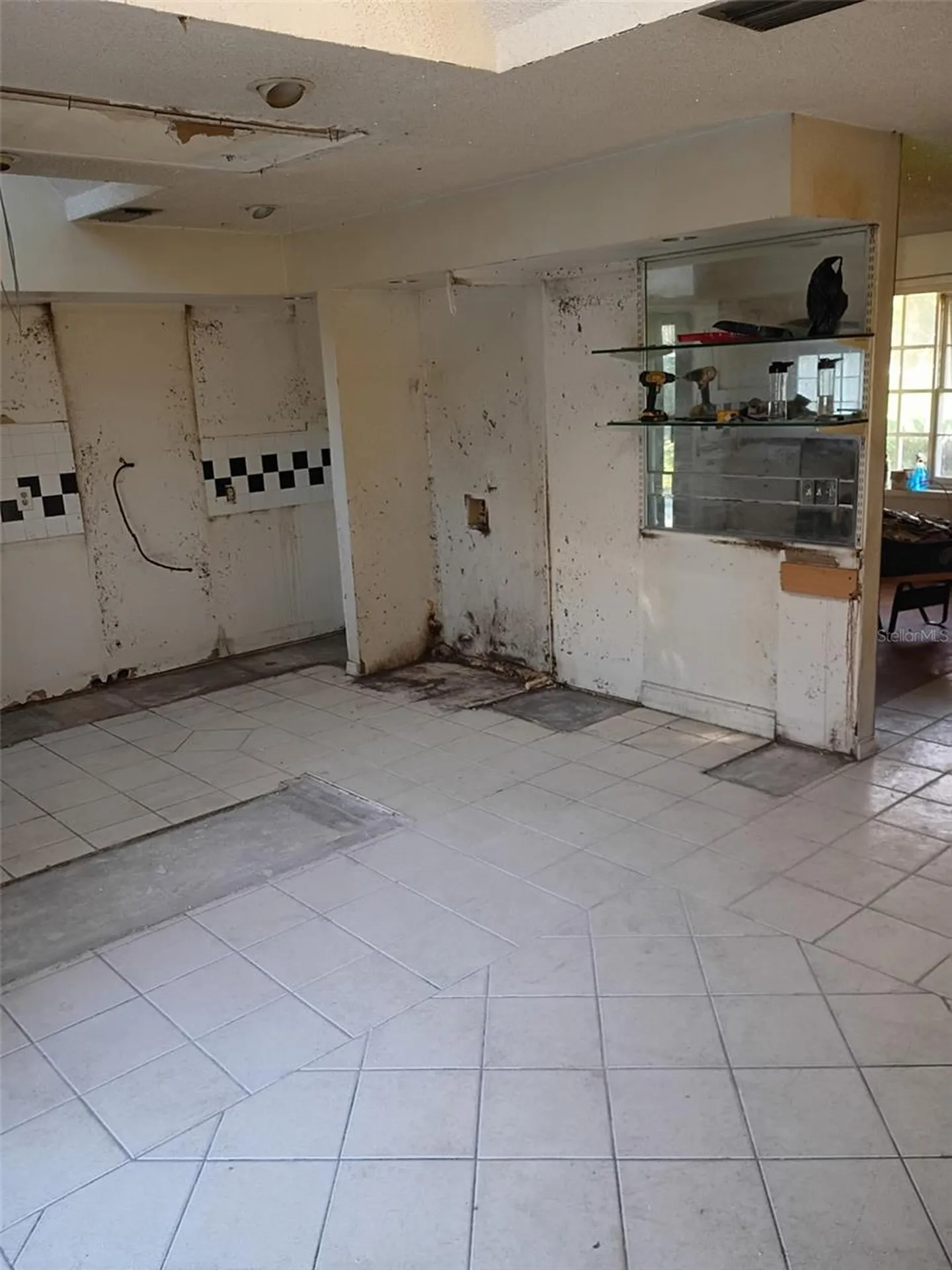 225 Fernery Road Lakeland FL 33809