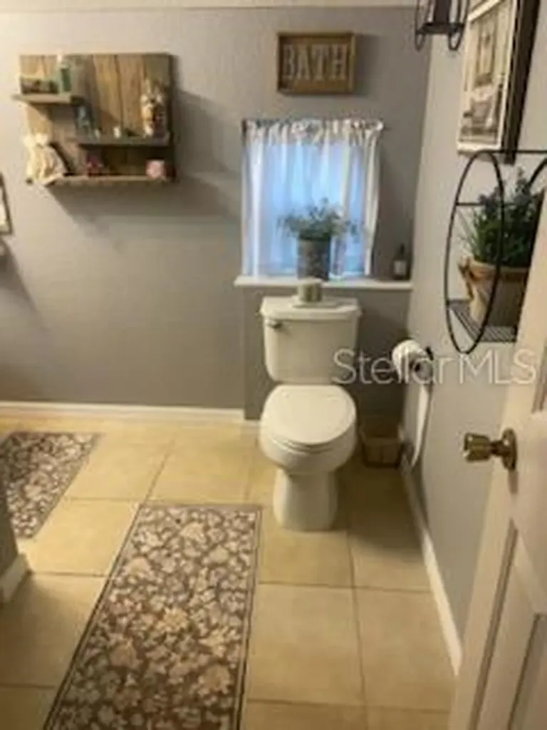 7083 SE 166th Avenue Ocklawaha FL 32179