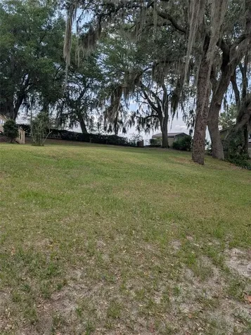 7083 SE 166th Avenue Ocklawaha FL 32179