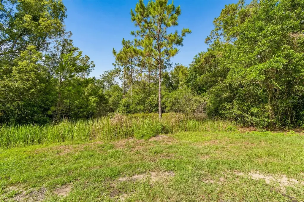 00 Hamrich Dade City FL 33525