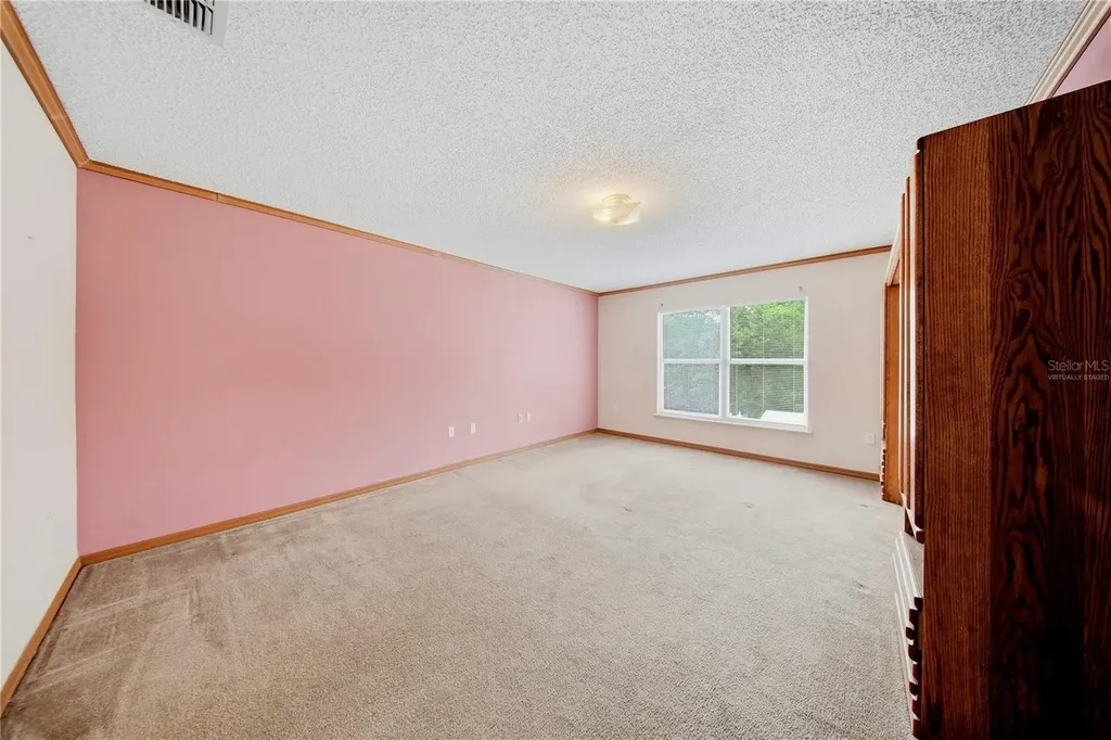 24945 Ravello Street Land O Lakes FL 34639