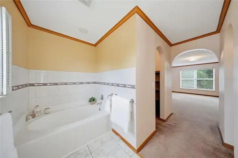 24945 Ravello Street Land O Lakes FL 34639