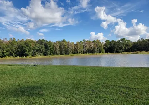 11032 Sundrift Drive Tampa FL 33647