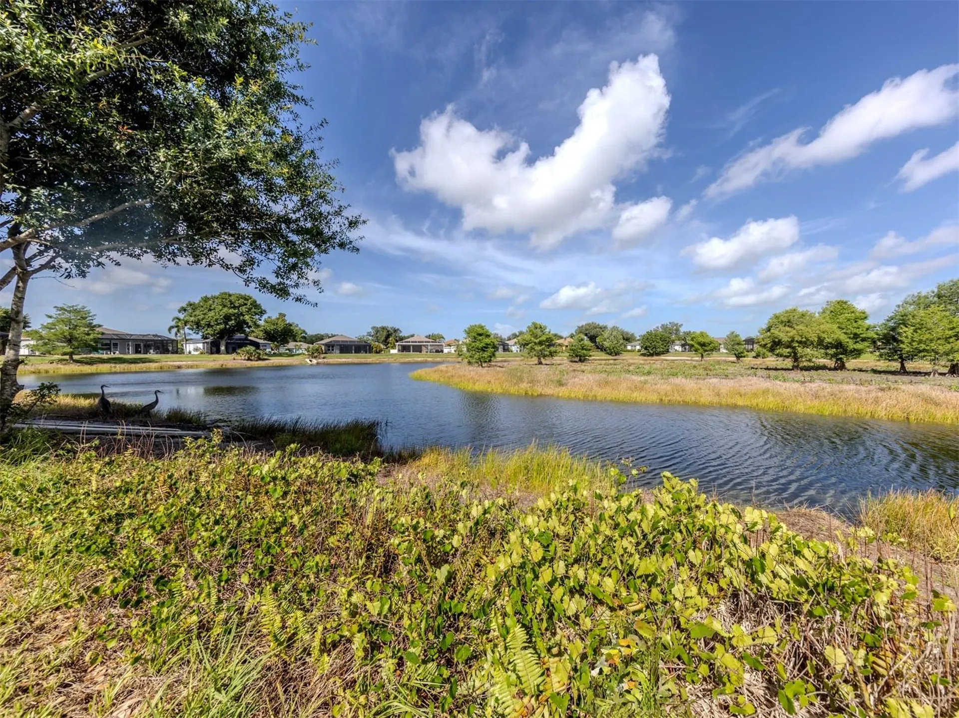4322 Manfield Drive Venice FL 34293