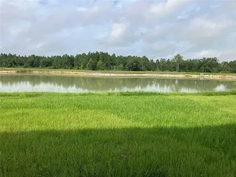 35694 Kinsey Point Zephyrhills FL 33541