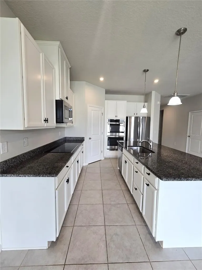 10156 Agave Court Land O Lakes FL 34638