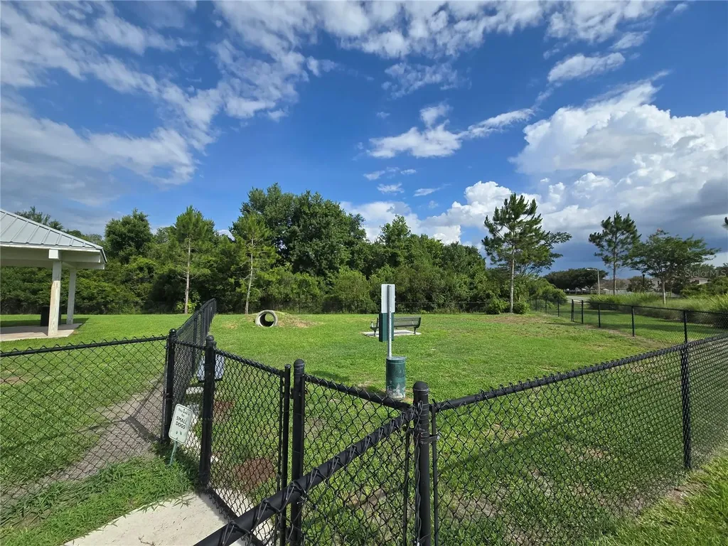 10156 Agave Court Land O Lakes FL 34638