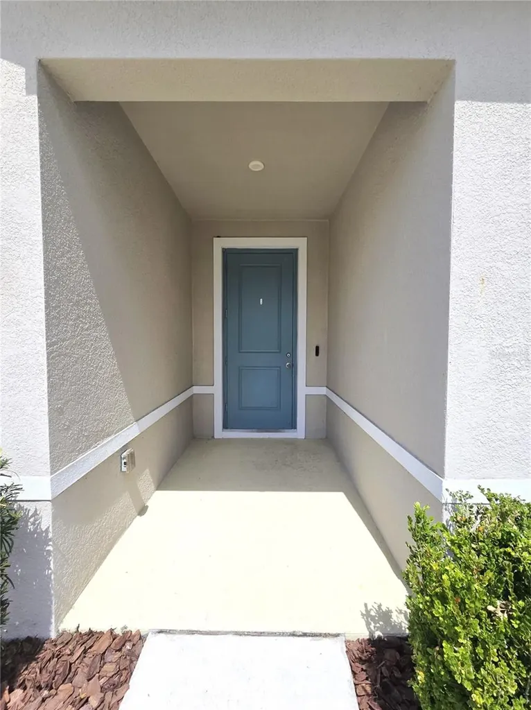 10156 Agave Court Land O Lakes FL 34638