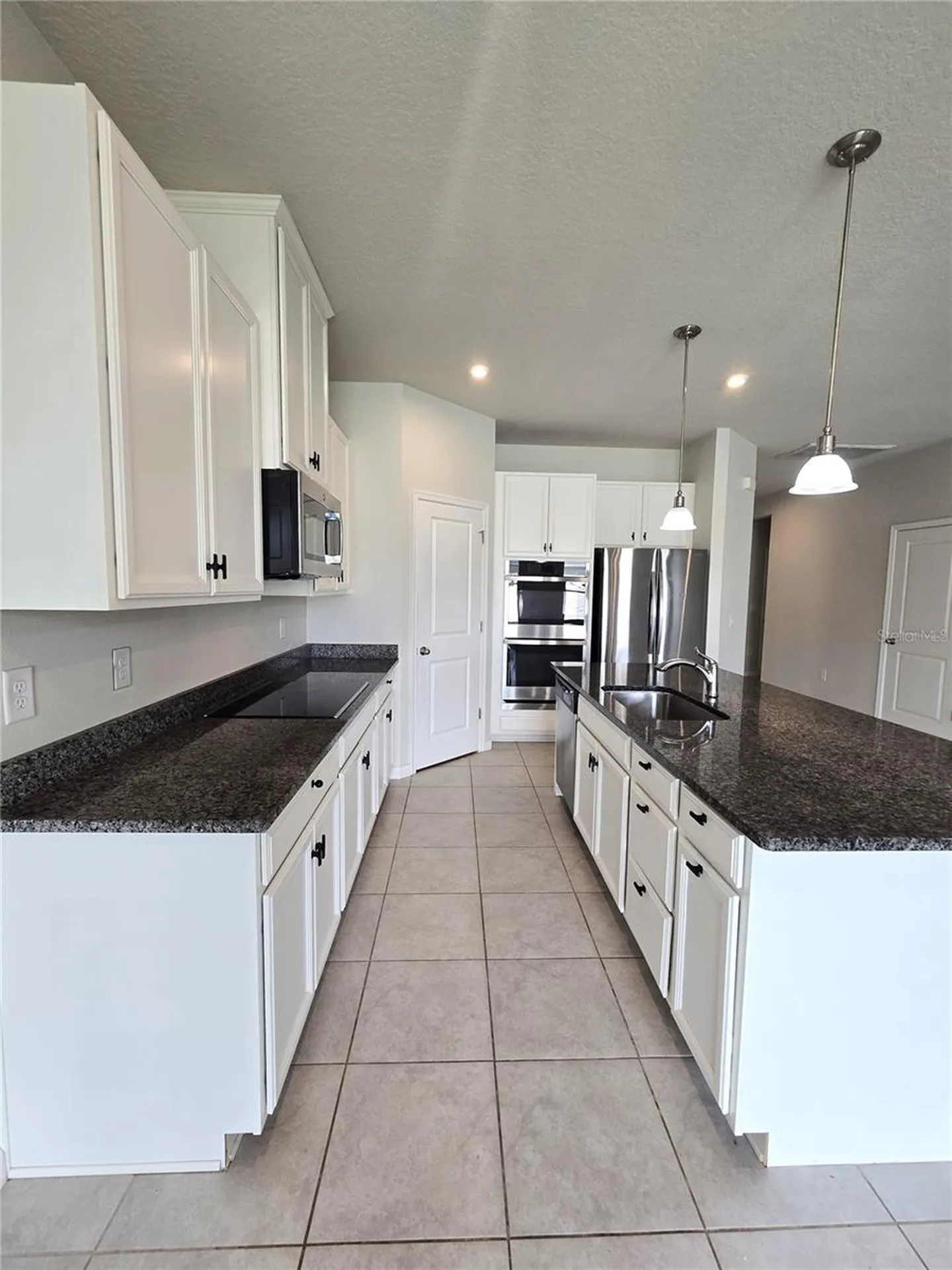 10156 Agave Court Land O Lakes FL 34638