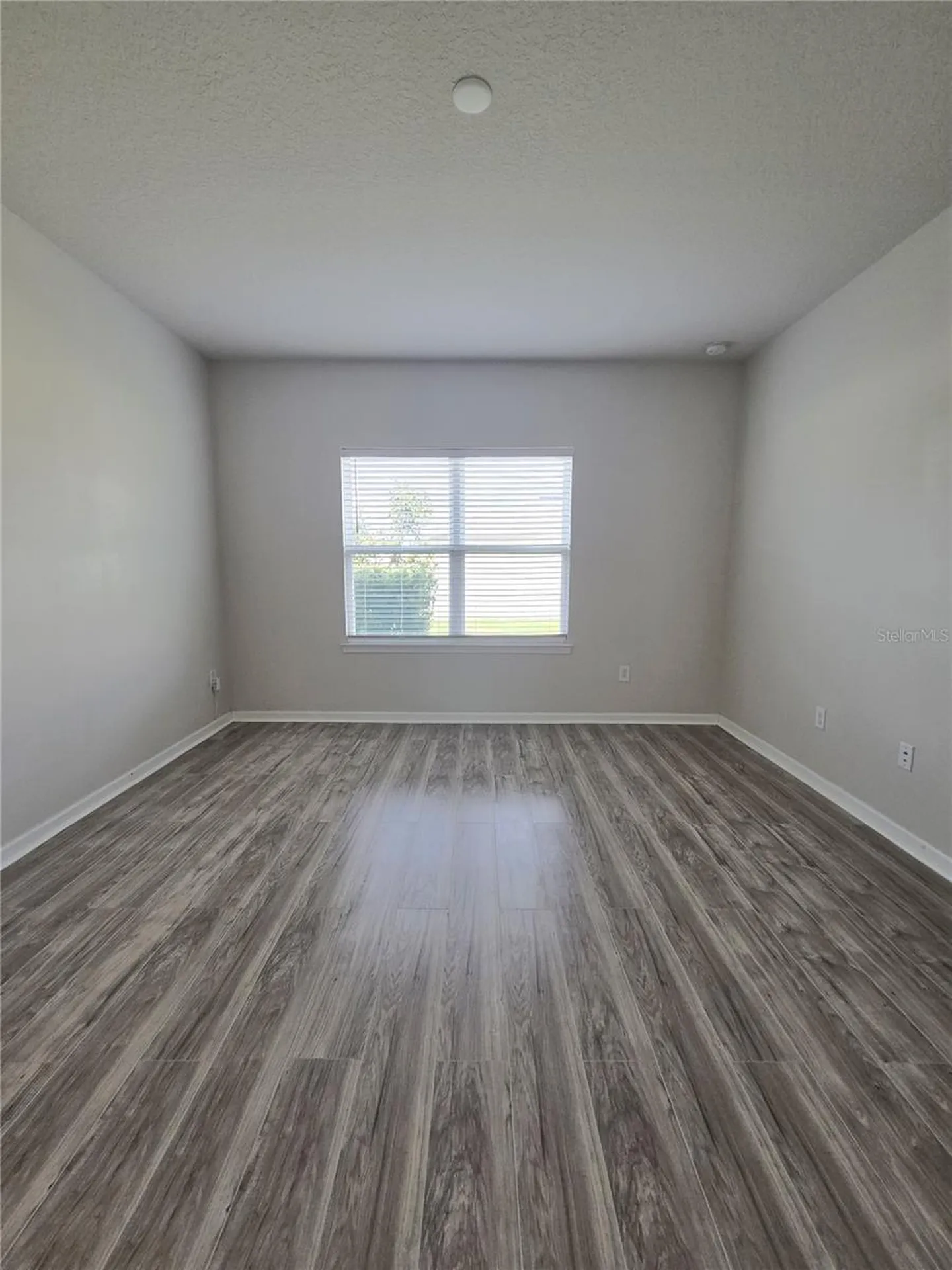 10156 Agave Court Land O Lakes FL 34638