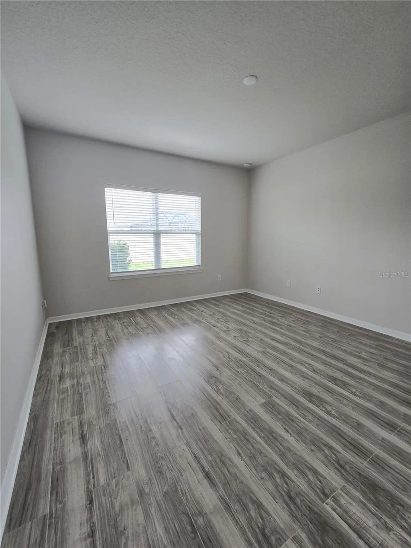 10156 Agave Court Land O Lakes FL 34638