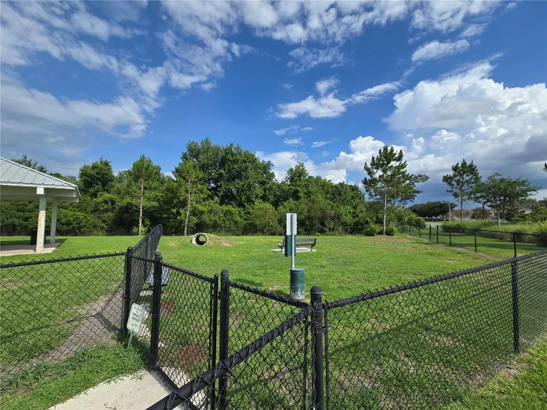 10156 Agave Court Land O Lakes FL 34638