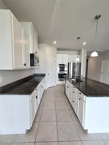 10156 Agave Court Land O Lakes FL 34638