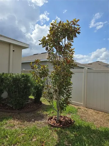 10156 Agave Court Land O Lakes FL 34638