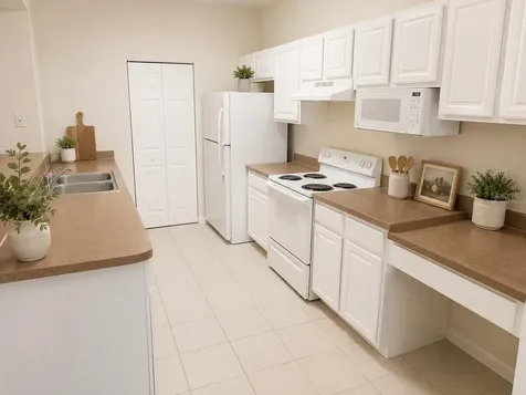 5001 Sunridge Palms Drive Tampa FL 33617