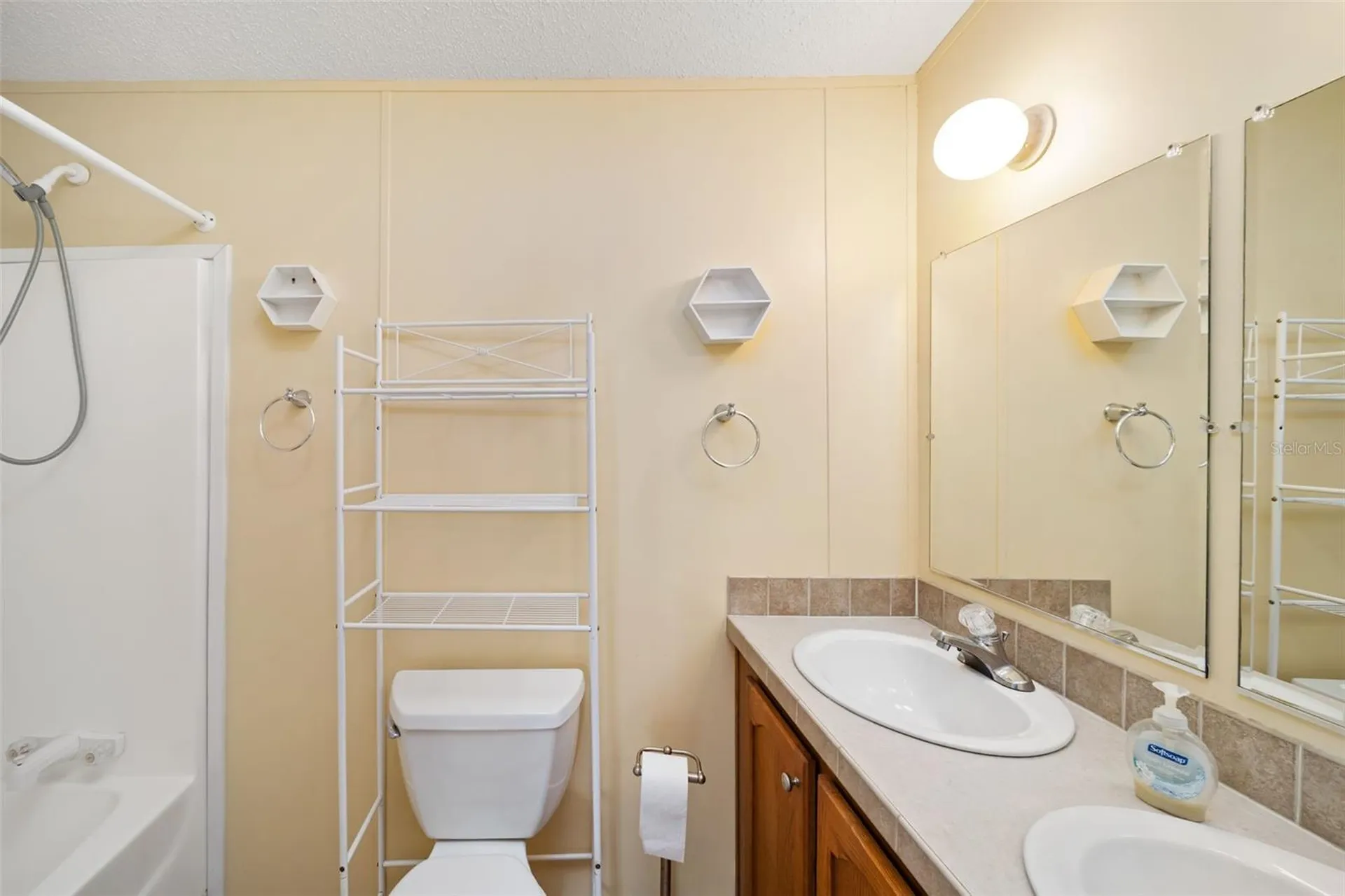 10407 Goshawk Drive Riverview FL 33578