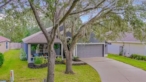 1407 Trail Boss Lane Brandon FL 33511