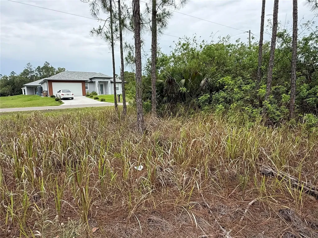1106 W 13th Street Lehigh Acres FL 33972