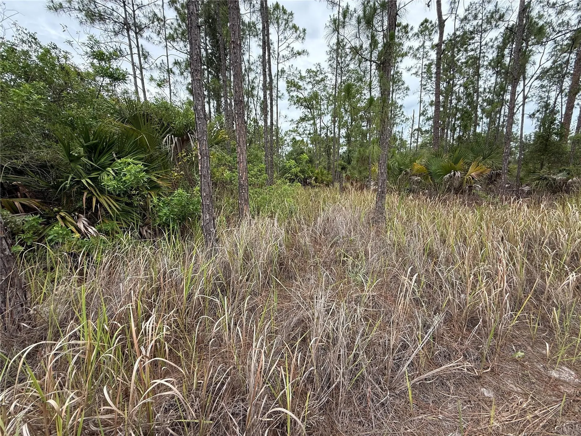1106 W 13th Street Lehigh Acres FL 33972